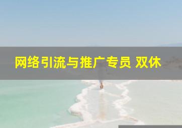 网络引流与推广专员 双休